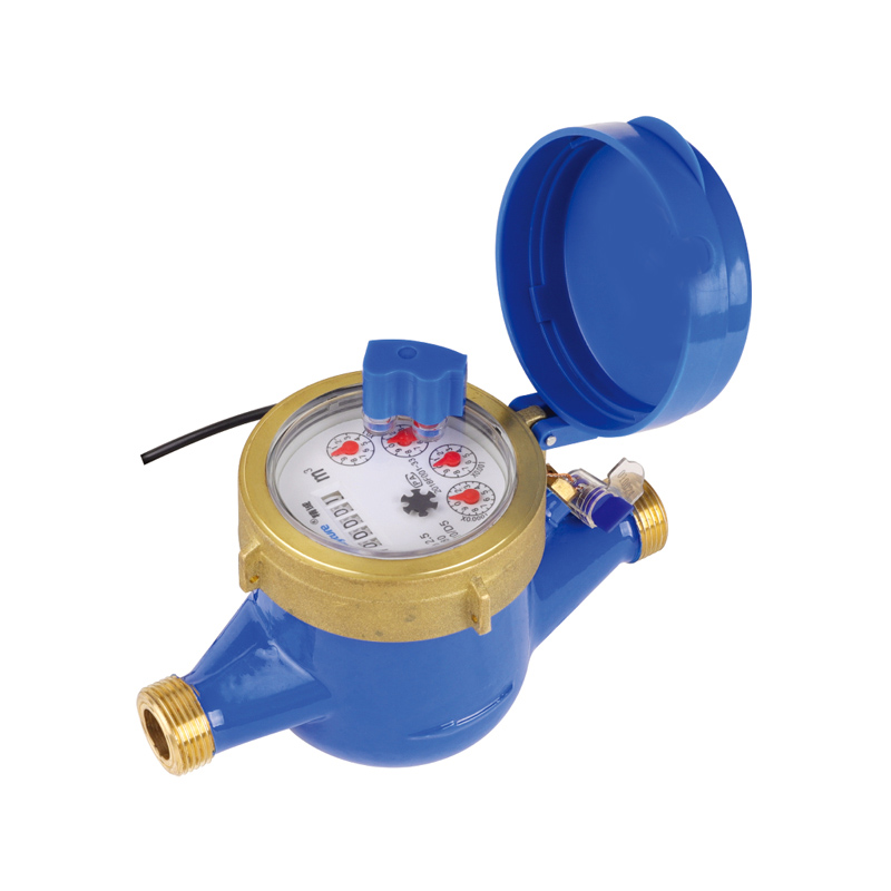 Contatore dell'acqua remoto cablato a secco (impulso)