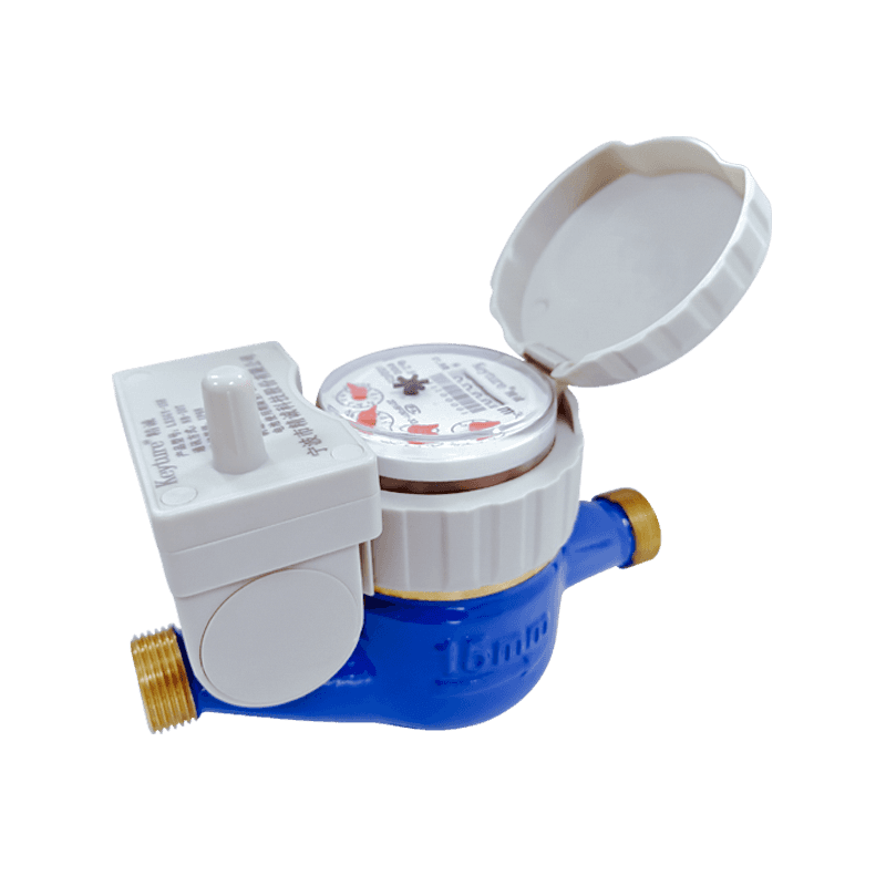 Tipo a secco Wireless Lora Remote Reading Water Meter